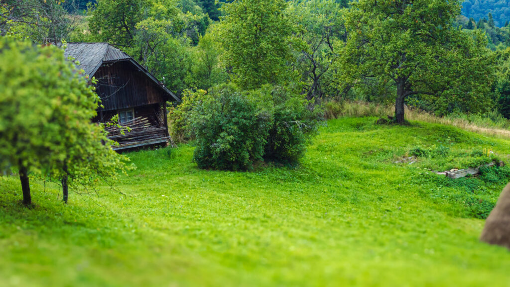 how to Start A Vegetable Garden On your Homestead