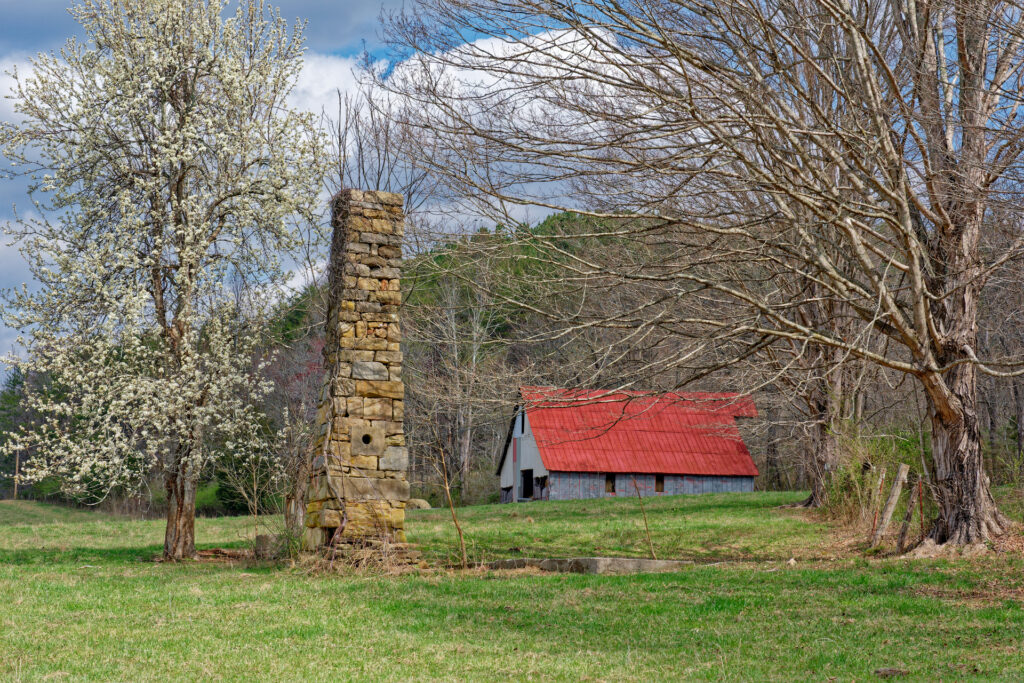 What Are The Best Livestock Options For Small Homesteads