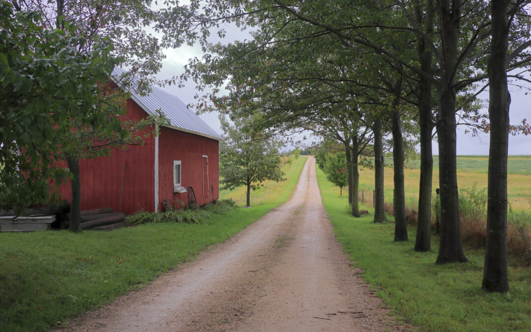 What Are The Differences Between Beginner And Expert Homesteading guide