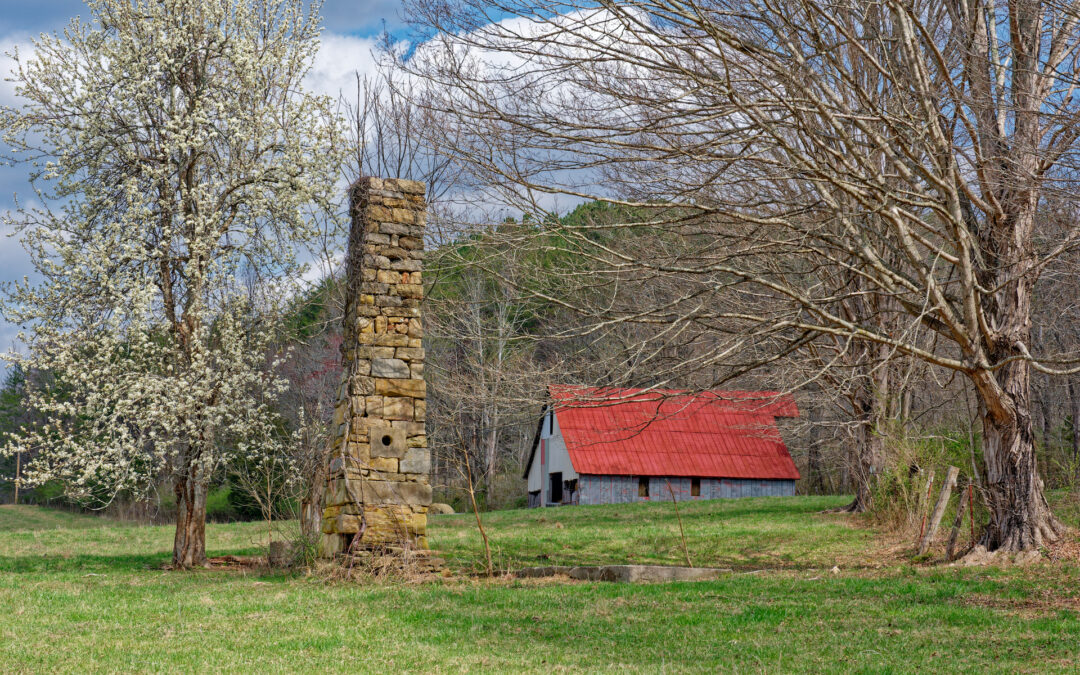 How Can I Preserve And Store Food On A Homestead To Last Through The