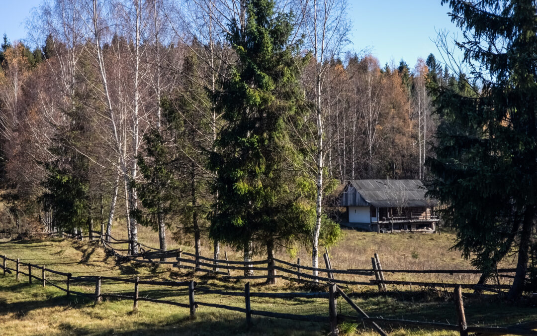 What Are The Essential Skills Needed For A Successful Homestead Lifestyle?